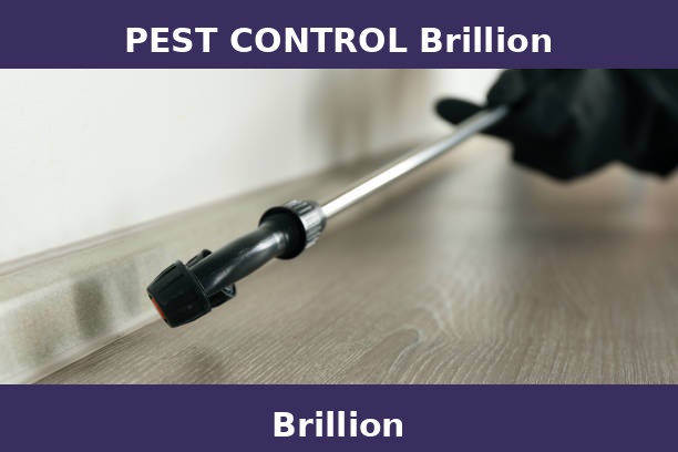 PEST CONTROL Brillion